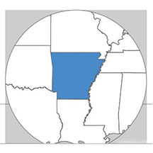 Arkansas state icon