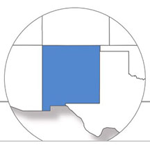 New Mexico state icon